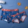 Flamingo Couple Underwear